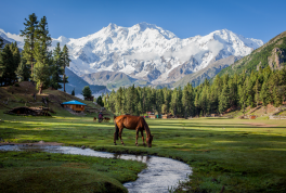 Fairy Meadows Pakistan