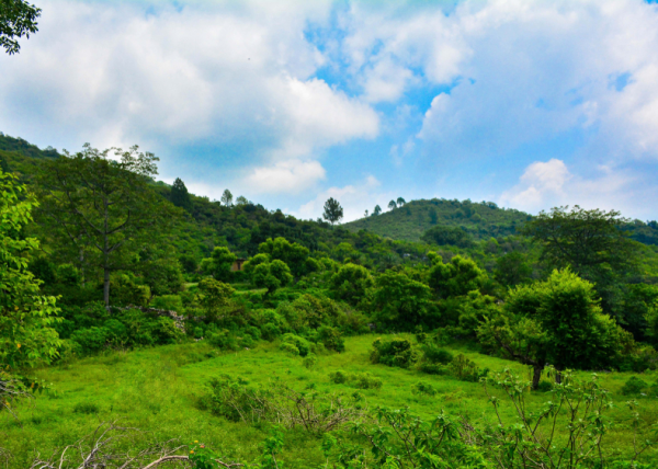 Margalla Hills National Park