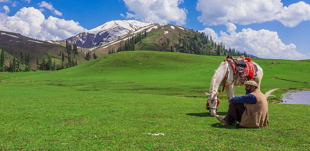 Paye Meadows - Pakistan Travel Guide