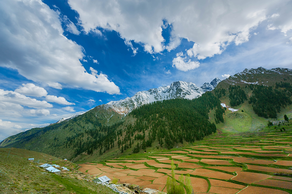 Naltar Valley - Pakistan Travel Guide