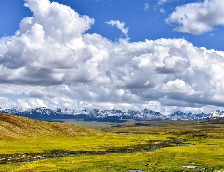 Deosai National Park - GB - Pakistan Travel Guide