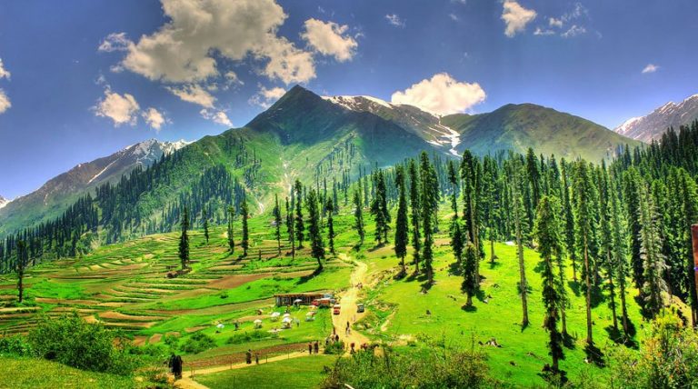 List of Meadows in Pakistan - Pakistan Travel Guide